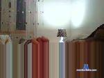 waren1010 cam4 livecam show performer room profile