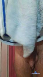 jamal79691 cam4 livecam show performer room profile