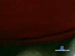 marcaosafado cam4 livecam show performer room profile