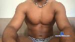 phenixarab7 cam4 livecam show performer room profile
