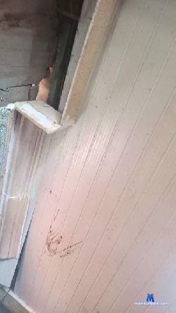 micaeli_sexy cam4 live cam performer profile