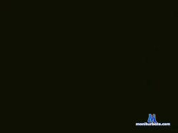spilazippo cam4 live cam performer profile