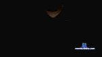 torito001 cam4 livecam show performer room profile