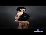 Sexyfelina666 cam4 livecam show performer room profile