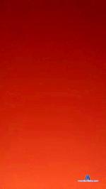 Boy_datoy cam4 livecam show performer room profile