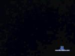 Abigail_Harper cam4 livecam show performer room profile