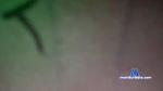 NinNaGirl cam4 livecam show performer room profile