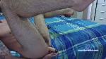 CuriosoBi88 cam4 livecam show performer room profile