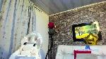 Alana_Grey_ cam4 livecam show performer room profile