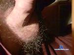 maninherts cam4 livecam show performer room profile