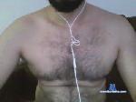 zebertoze cam4 livecam show performer room profile