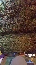 lopette_fun cam4 livecam show performer room profile