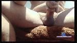 bixexualval cam4 livecam show performer room profile