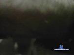 liglgon cam4 livecam show performer room profile