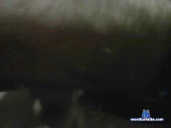 liglgon cam4 live cam performer profile