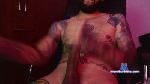 Damndannii cam4 livecam show performer room profile