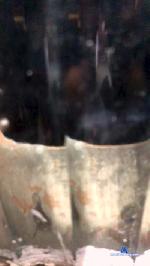 lucas60437 cam4 livecam show performer room profile