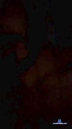 carlos603_sexy cam4 livecam show performer room profile