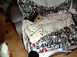 Darius23 cam4 livecam show performer room profile