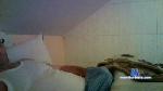 Pavel1932 cam4 livecam show performer room profile