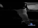YourDreamDesire cam4 livecam show performer room profile