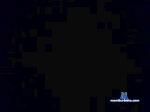 xxalperalperxx cam4 livecam show performer room profile