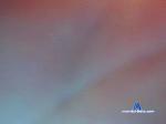 WendyC_ cam4 livecam show performer room profile