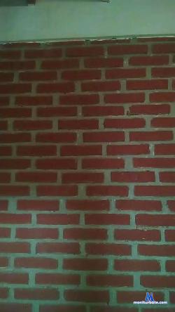 deliisexy cam4 live cam performer profile