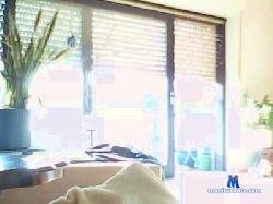 tomcdtom cam4 live cam performer profile