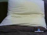ailian cam4 livecam show performer room profile
