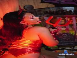 little_chary_ cam4 live cam performer profile