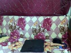 GinniferGoodwin cam4 live cam performer profile