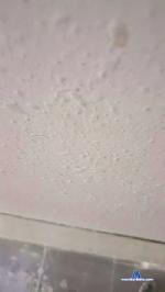 Gallumbero2 cam4 livecam show performer room profile