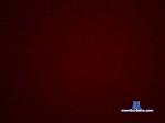 bassmanbredahot cam4 livecam show performer room profile