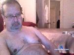 nbbear cam4 livecam show performer room profile