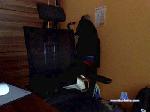StarlightMeadow cam4 livecam show performer room profile