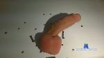 ARealPink cam4 livecam show performer room profile
