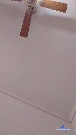 Anto323258 cam4 livecam show performer room profile