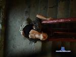 RexellaAppling cam4 livecam show performer room profile