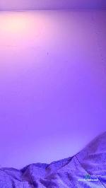 Bigfunn81 cam4 livecam show performer room profile