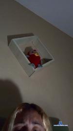 Melzinha3737 cam4 livecam show performer room profile