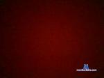 Goncalo_sex cam4 livecam show performer room profile