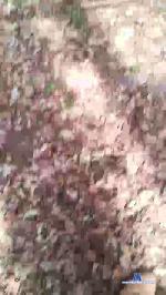 rasta974knky cam4 livecam show performer room profile