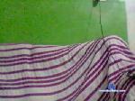 luis2896 cam4 livecam show performer room profile