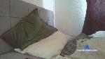 hartdickleon cam4 livecam show performer room profile