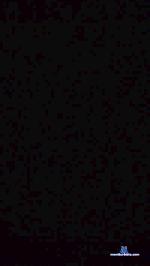 EgyptianLolyBoB cam4 livecam show performer room profile