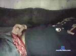 duroise cam4 livecam show performer room profile