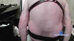 luciana_fox_ cam4 livecam show performer room profile