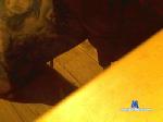 landy cam4 livecam show performer room profile