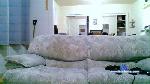 batmike cam4 livecam show performer room profile
